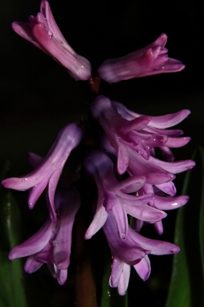 2011 04 13 IMG 27817